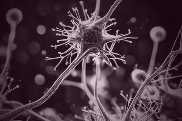 Autoantibodies Associated with Neurological Symptoms in Long COVID Identified Through Proteome-wide Screening of Patient Serum Using HuProt™ Microarrays