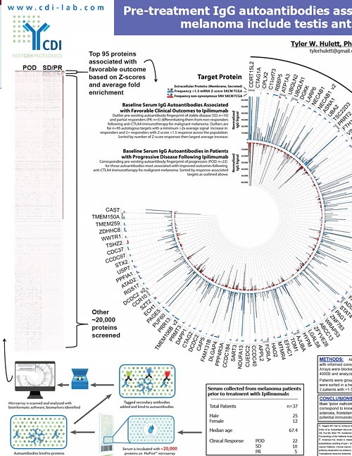 Pre-treatment IgG autoantibodies associated with favorable outcomes in melanoma include testis antigens and proteins linked to neurodegeneration