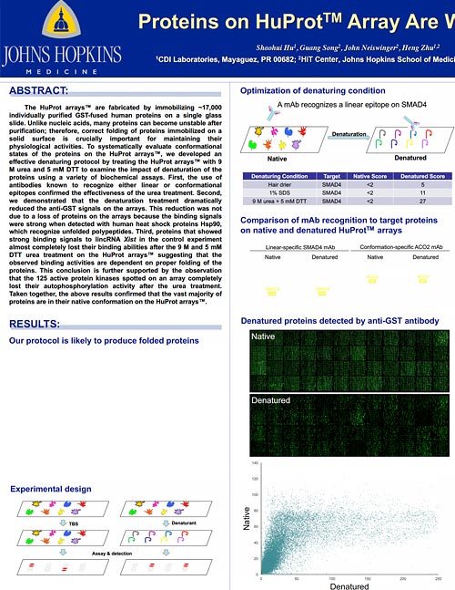 Proteins on HuProt™ Array Are Well Folded