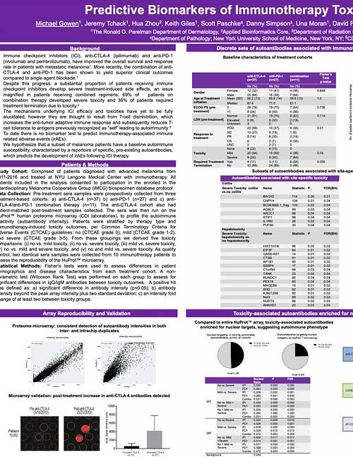 Predictive Biomarkers of Immunotherapy Toxicity in Metastatic Melanoma Patients