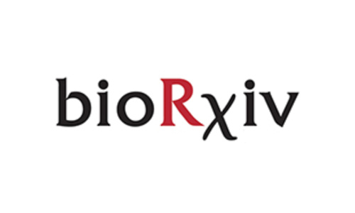 bioRxiv