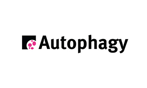 Autophagy