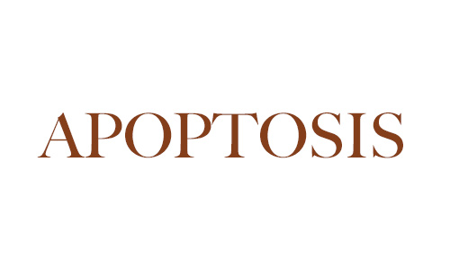 Apoptosis - Springer