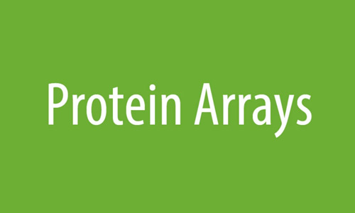 Protein Arrays