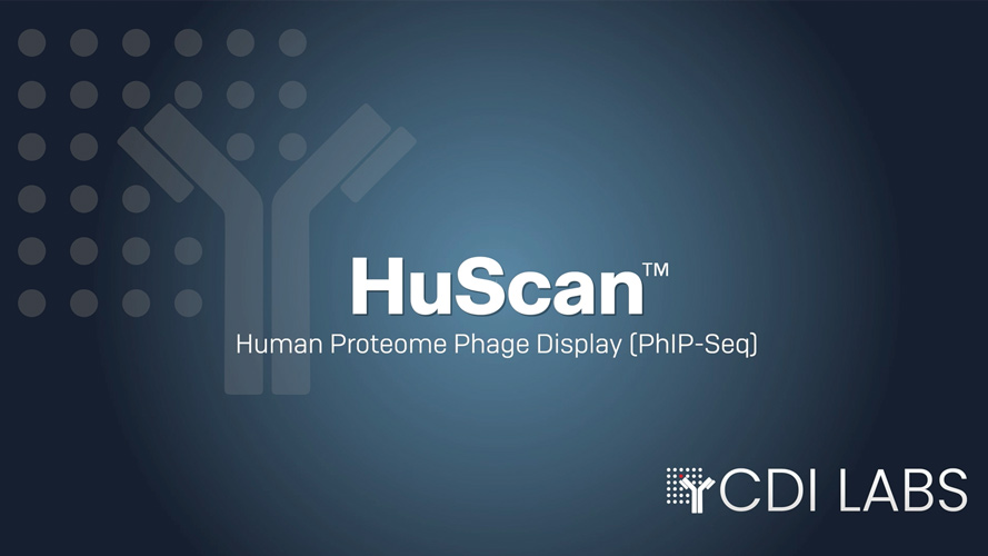 Overview of HuScan™ Human Proteome Phage Display