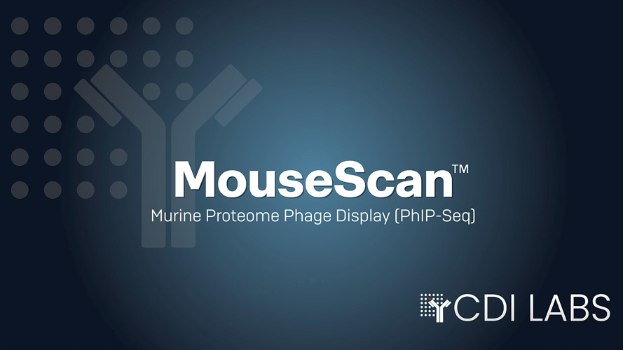 Overview of MouseScan™ Murine Proteome Phage Display